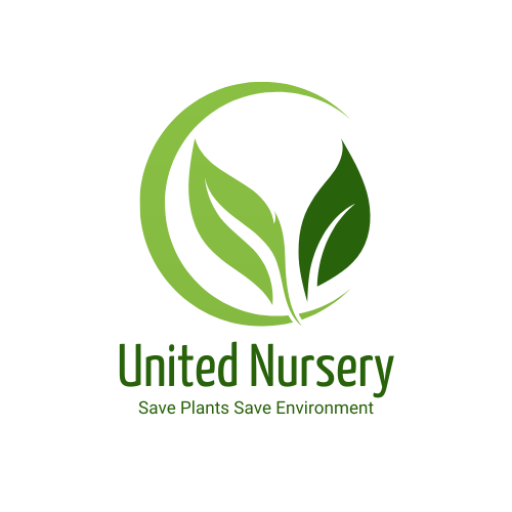 United Nursery